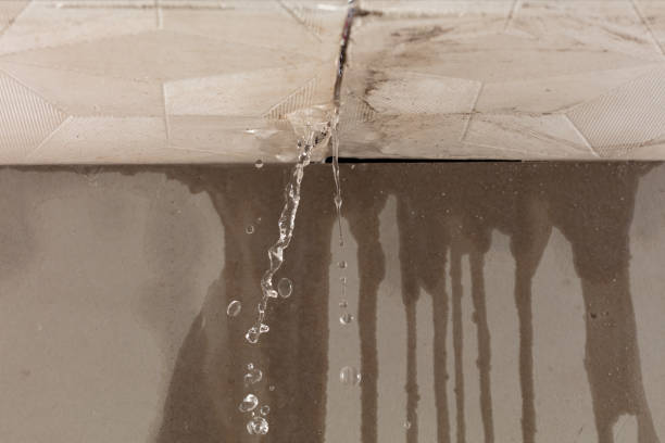 Professional Sewage Cleanup technician working in Otisville, MI
